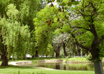 Carlton Gardens - ornamental lake